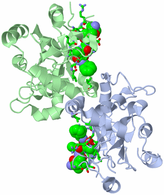 Image Asym./Biol. Unit - sites