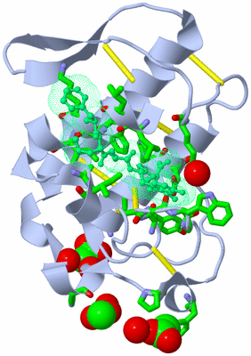 Image Biol. Unit 1 - sites