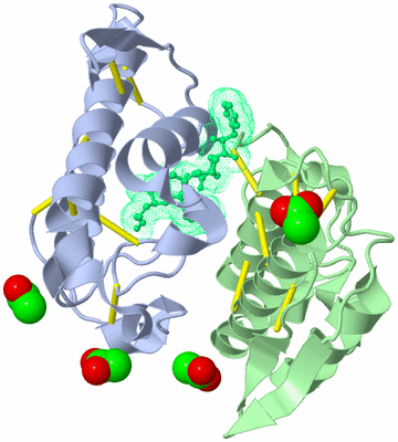 Image Biological Unit 3