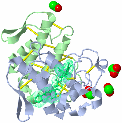 Image Biological Unit 4