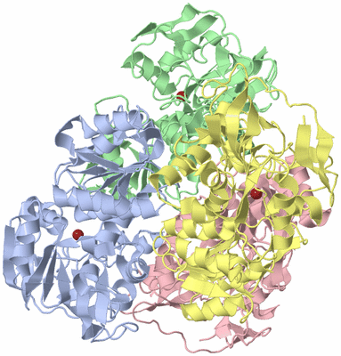 Image Asym./Biol. Unit