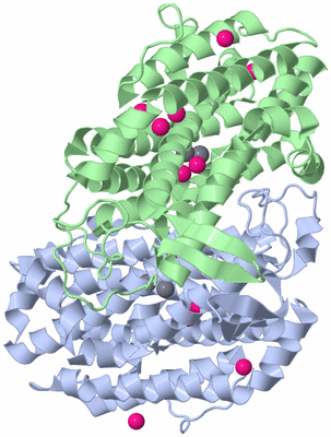 Image Asym./Biol. Unit