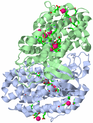 Image Asym./Biol. Unit - sites