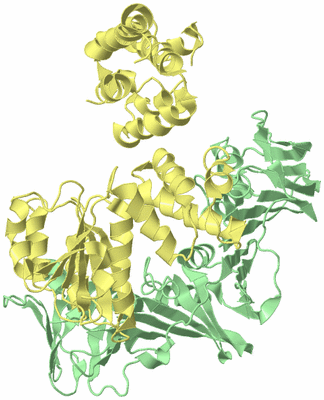 Image Biological Unit 2