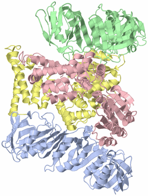 Image Biological Unit 3