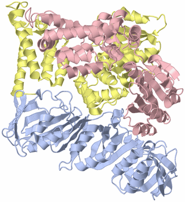 Image Biological Unit 4
