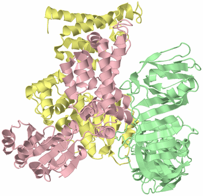 Image Biological Unit 5