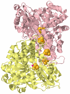 Image Biological Unit 2