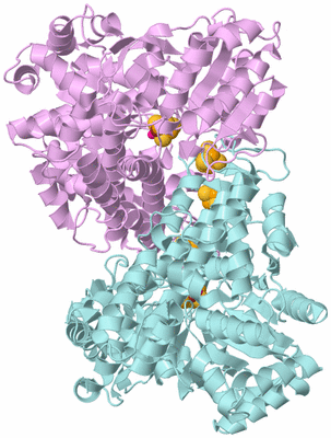 Image Biological Unit 3