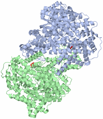 Image Biological Unit 2