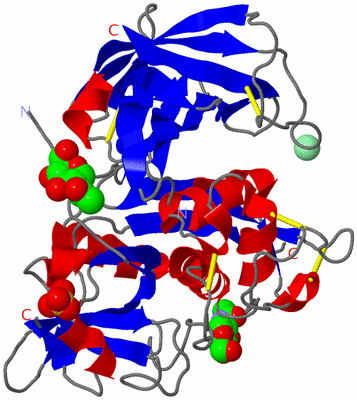 Image Asymmetric Unit