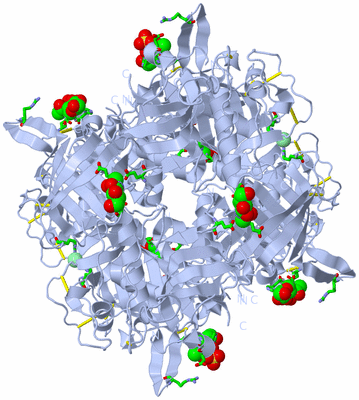 Image Biol. Unit 1 - sites