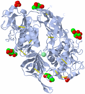 Image Biological Unit 2