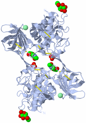 Image Biological Unit 3