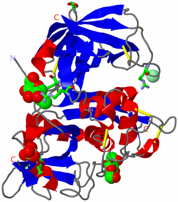 Image Asym. Unit - sites