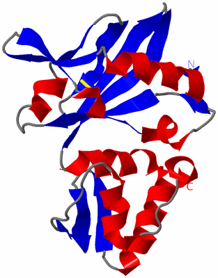 Image NMR Structure - model 1