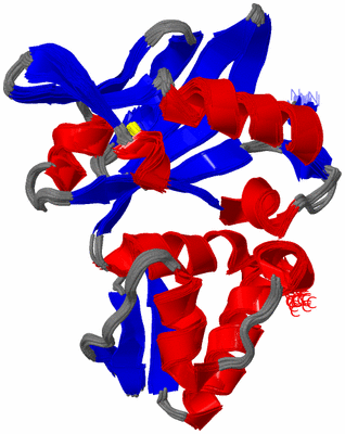 Image NMR Structure - all models