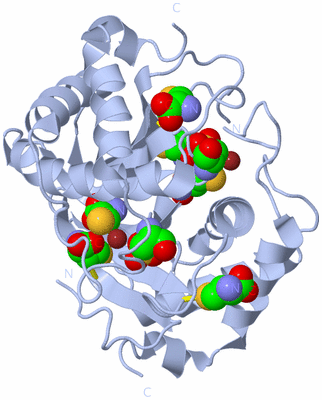 Image Biological Unit 1