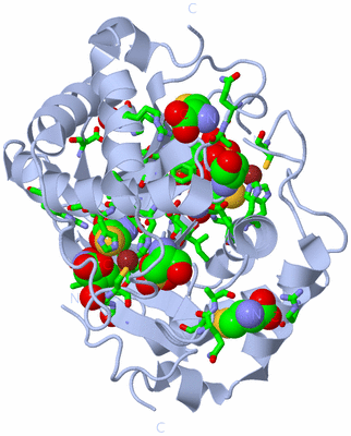 Image Biol. Unit 1 - sites