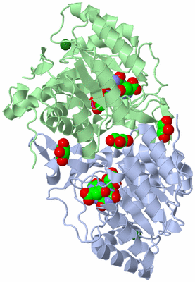 Image Asym./Biol. Unit