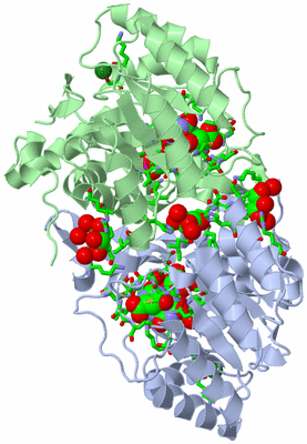 Image Asym./Biol. Unit - sites