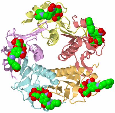 Image Biological Unit 1