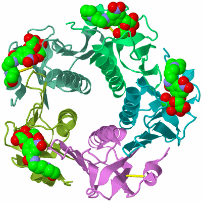 Image Biological Unit 2