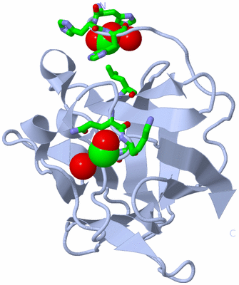 Image Biol. Unit 1 - sites