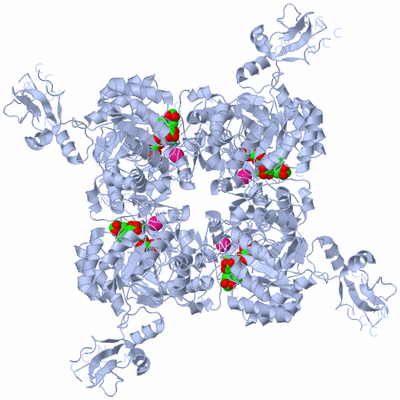 Image Biological Unit 1