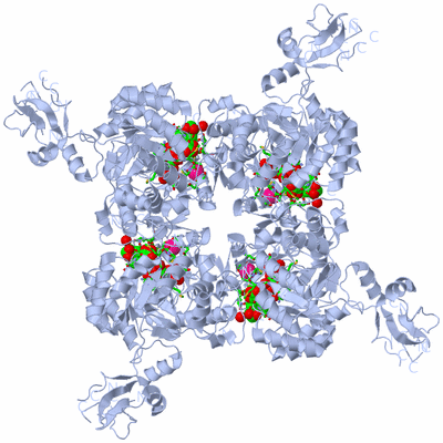 Image Biol. Unit 1 - sites