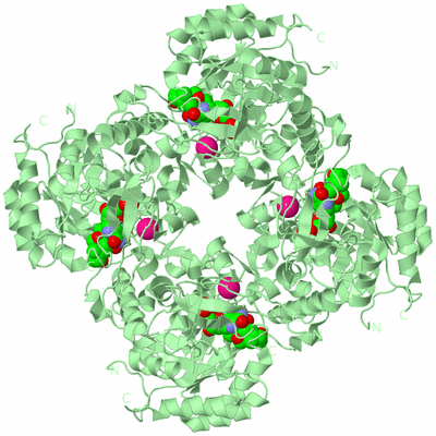 Image Biological Unit 2