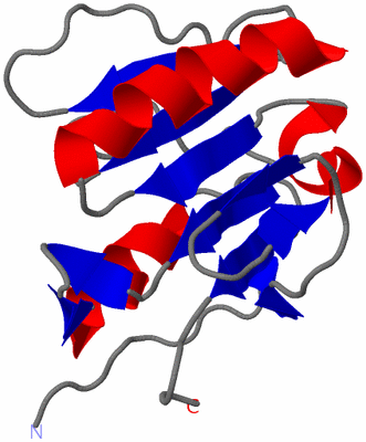 Image NMR Structure - model 1