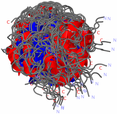 Image NMR Structure - all models