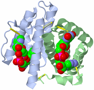 Image Asym./Biol. Unit