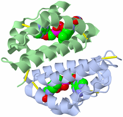 Image Biological Unit 1