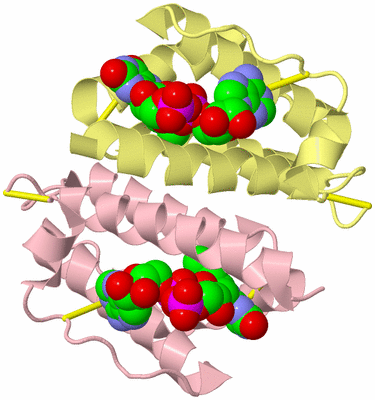 Image Biological Unit 2