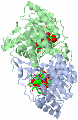 Image Asym./Biol. Unit - sites