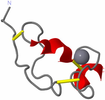 Image NMR Structure - model 1