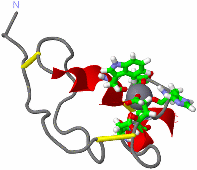 Image NMR Structure - model 1, sites