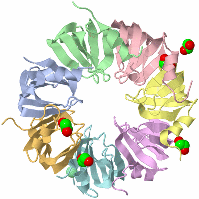 Image Biological Unit 1