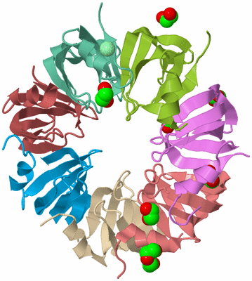 Image Biological Unit 2