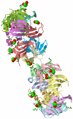 Image Asym. Unit - sites