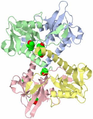 Image Biological Unit 3