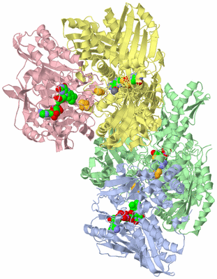 Image Biological Unit 1