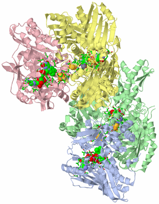 Image Biol. Unit 1 - sites