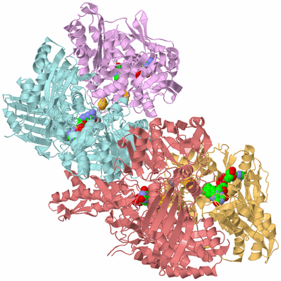 Image Biological Unit 2