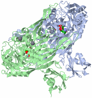 Image Asym./Biol. Unit