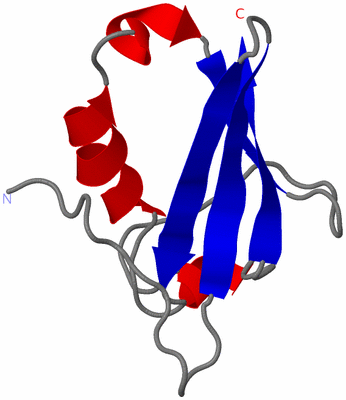 Image NMR Structure - model 1