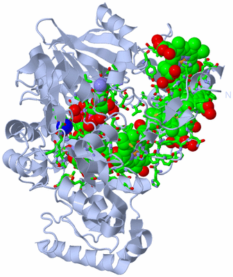 Image Biol. Unit 1 - sites