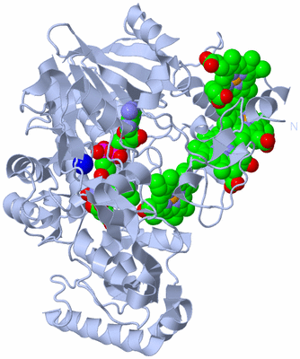 Image Biological Unit 1